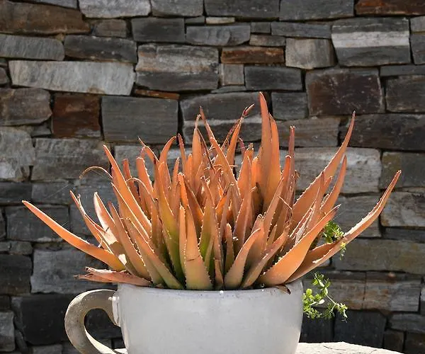 Paros Butterfly Апартаменты