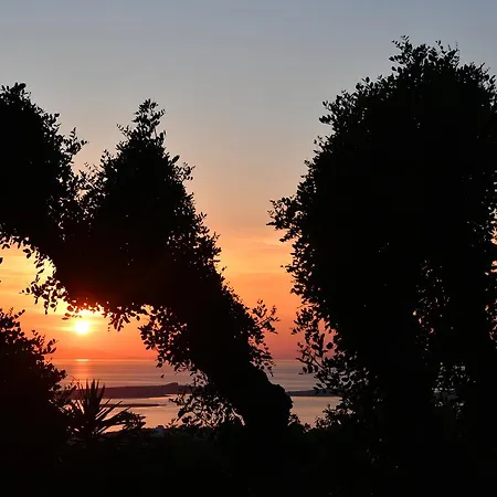 Paros Butterfly Appartamento Pounda